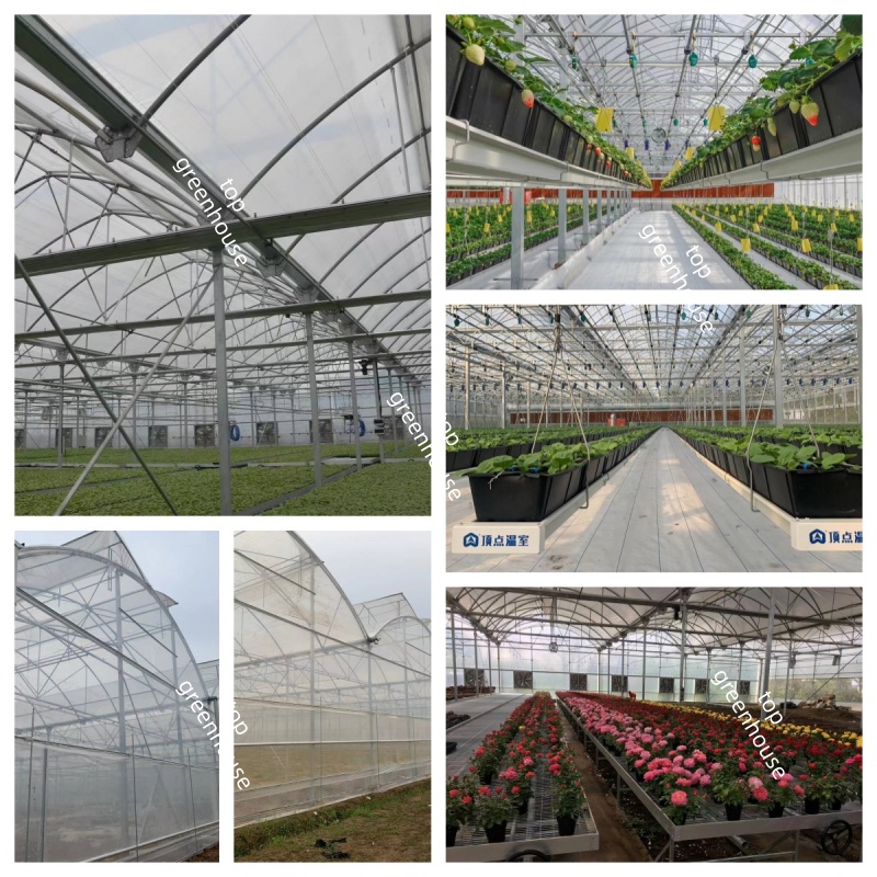 greenhouse film
