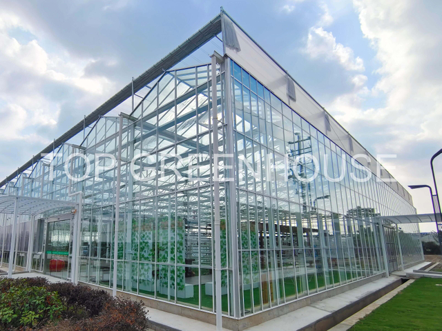 External Aluminum Screen For Film Greenhouse
