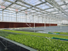 Greenhouse Cooling System With Wet Curtain Pad