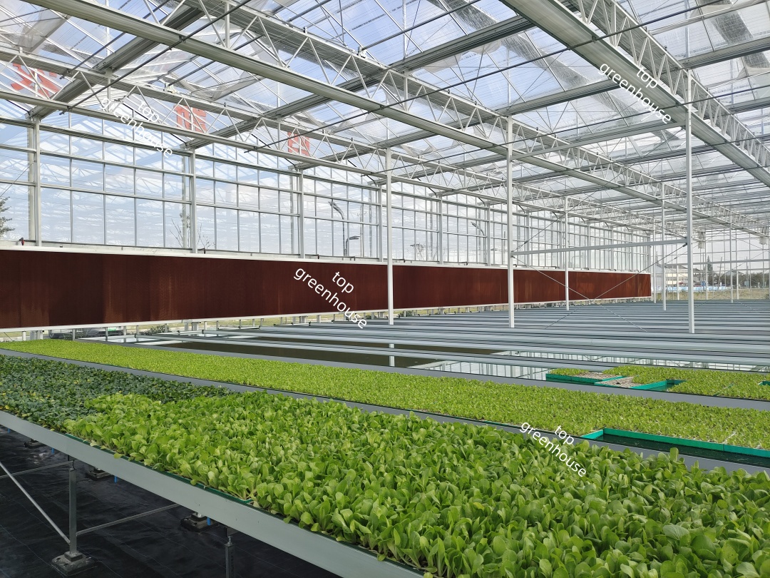 greenhouse cooling pad