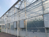 Plastic Film Greenhouse for Affordable And Efficient Crop Cultivation