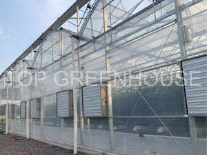 Plastic Film Greenhouse for Affordable And Efficient Crop Cultivation