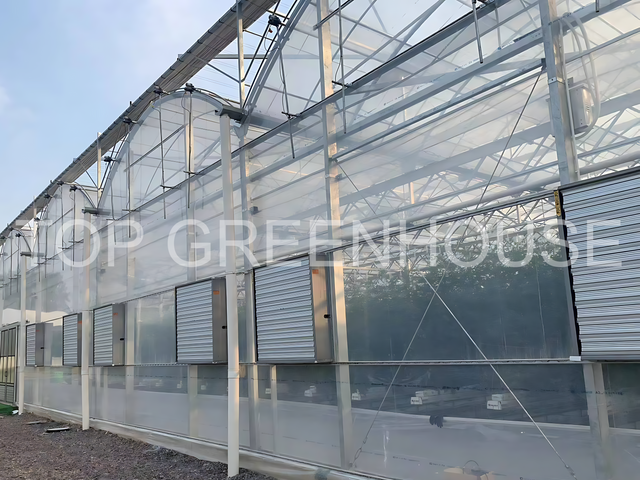 Plastic Film Greenhouse for Affordable And Efficient Crop Cultivation