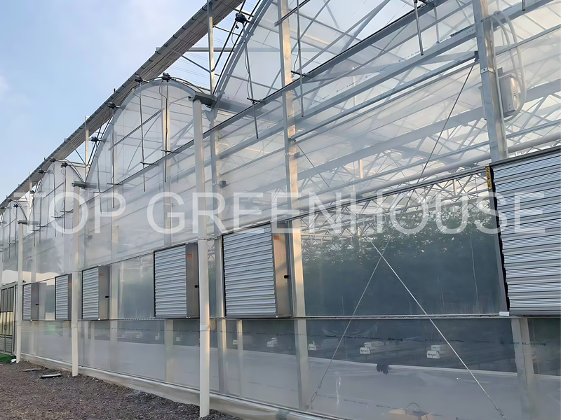 Plastic Film Greenhouse for Affordable And Efficient Crop Cultivation
