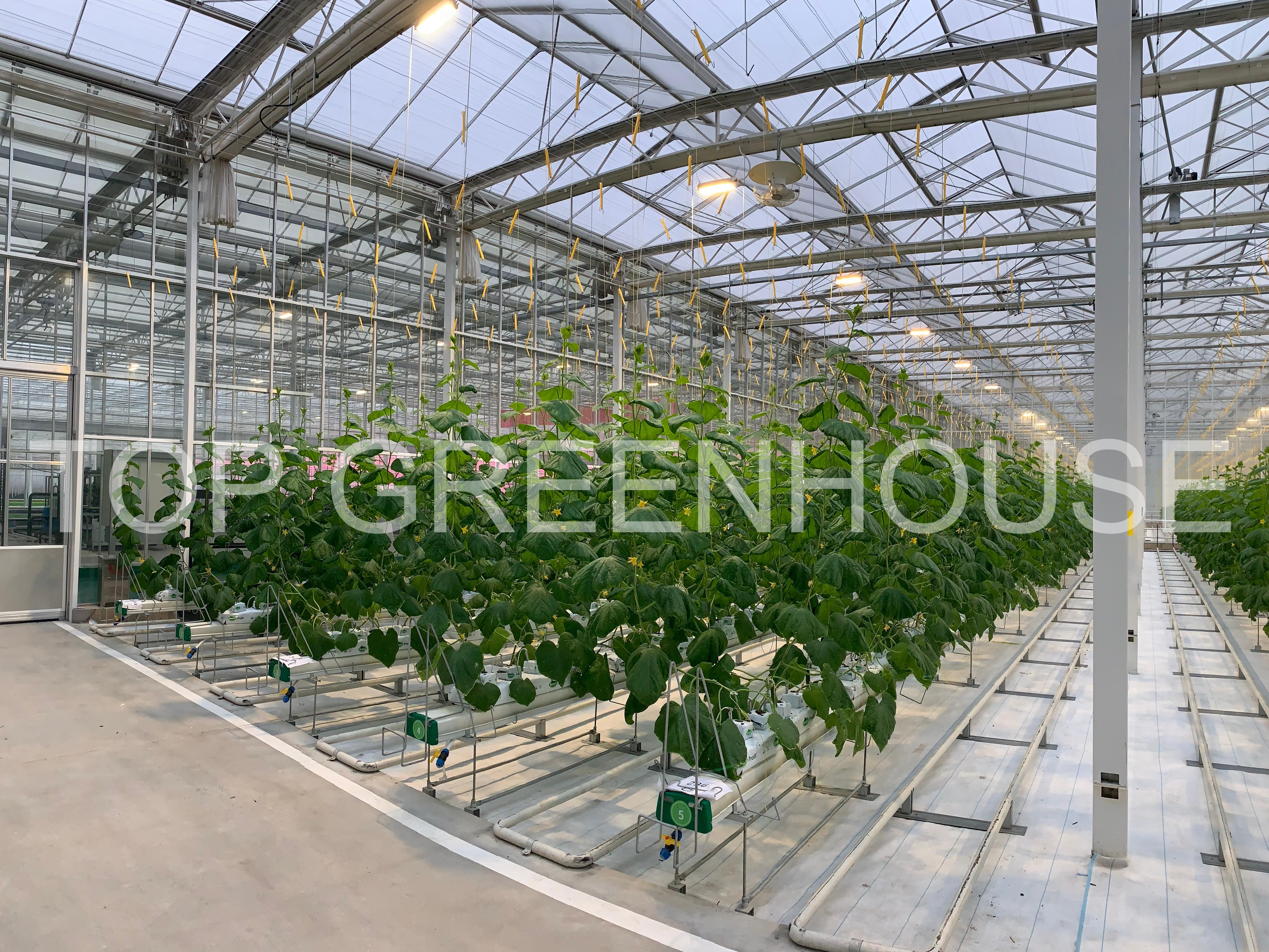 smart greenhouse 1