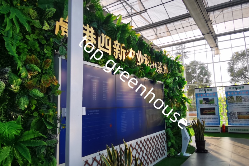 high efficiency greenhouse