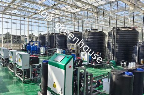 high efficiency Venlo greenhouse