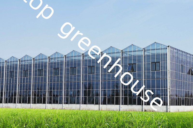 Glass greenhouses for agriculture