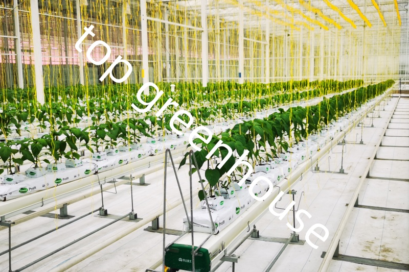 Commercial Greenhouse