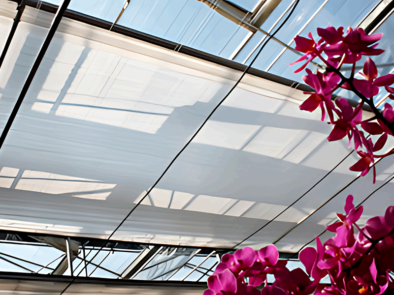 2-What-is-climate-screen