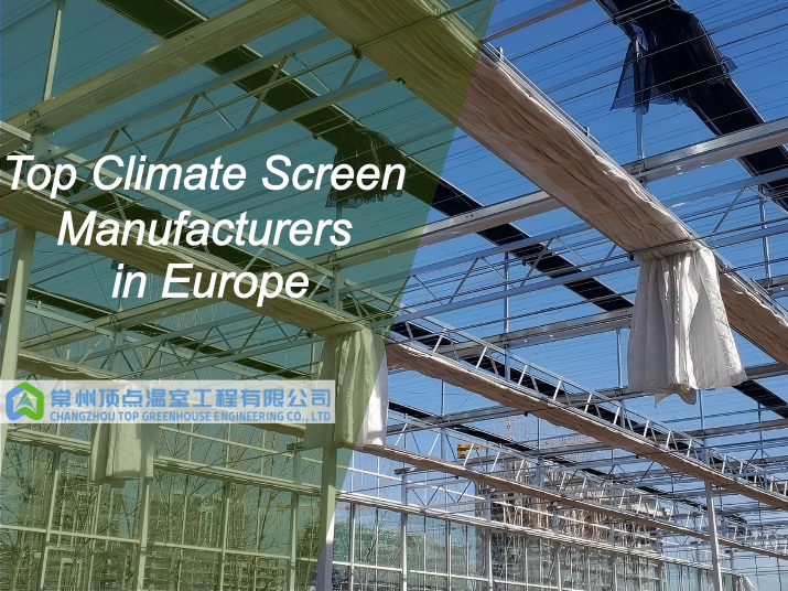 Top Climate Screen Manufacturers in Europe (2025 Guide)