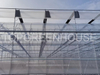 Plastic Greenhouse