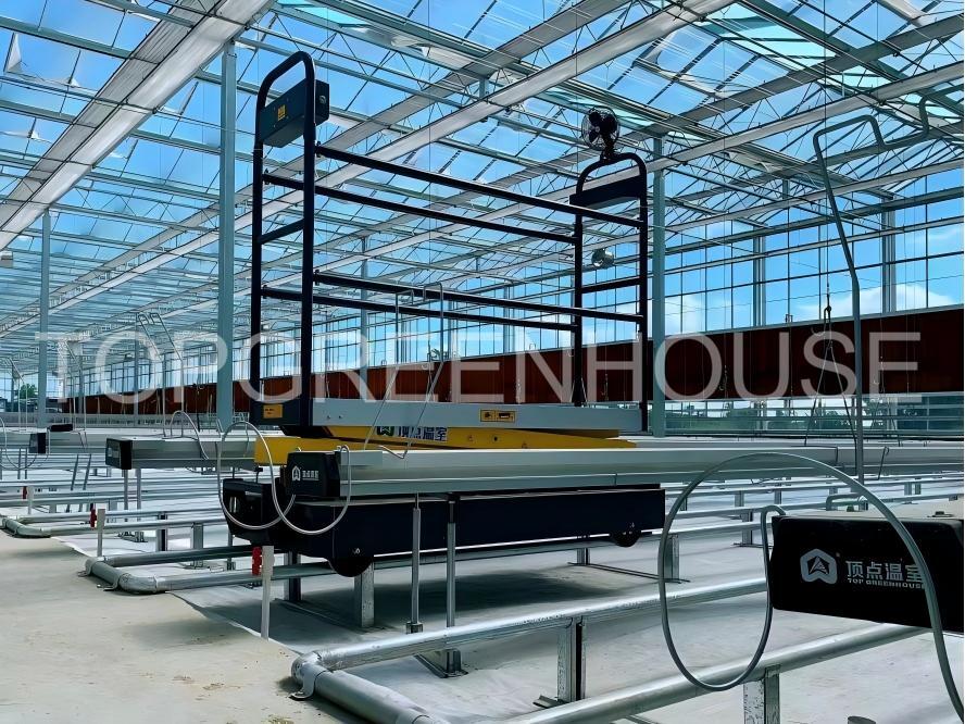 High-Performance Commercial Venlo Glass Greenhouse