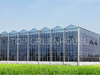 Venlo Glass Greenhouse
