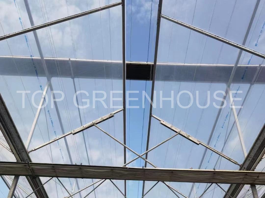 Polycarbonate Greenhouse