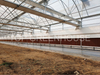 inside aluminum shading net 