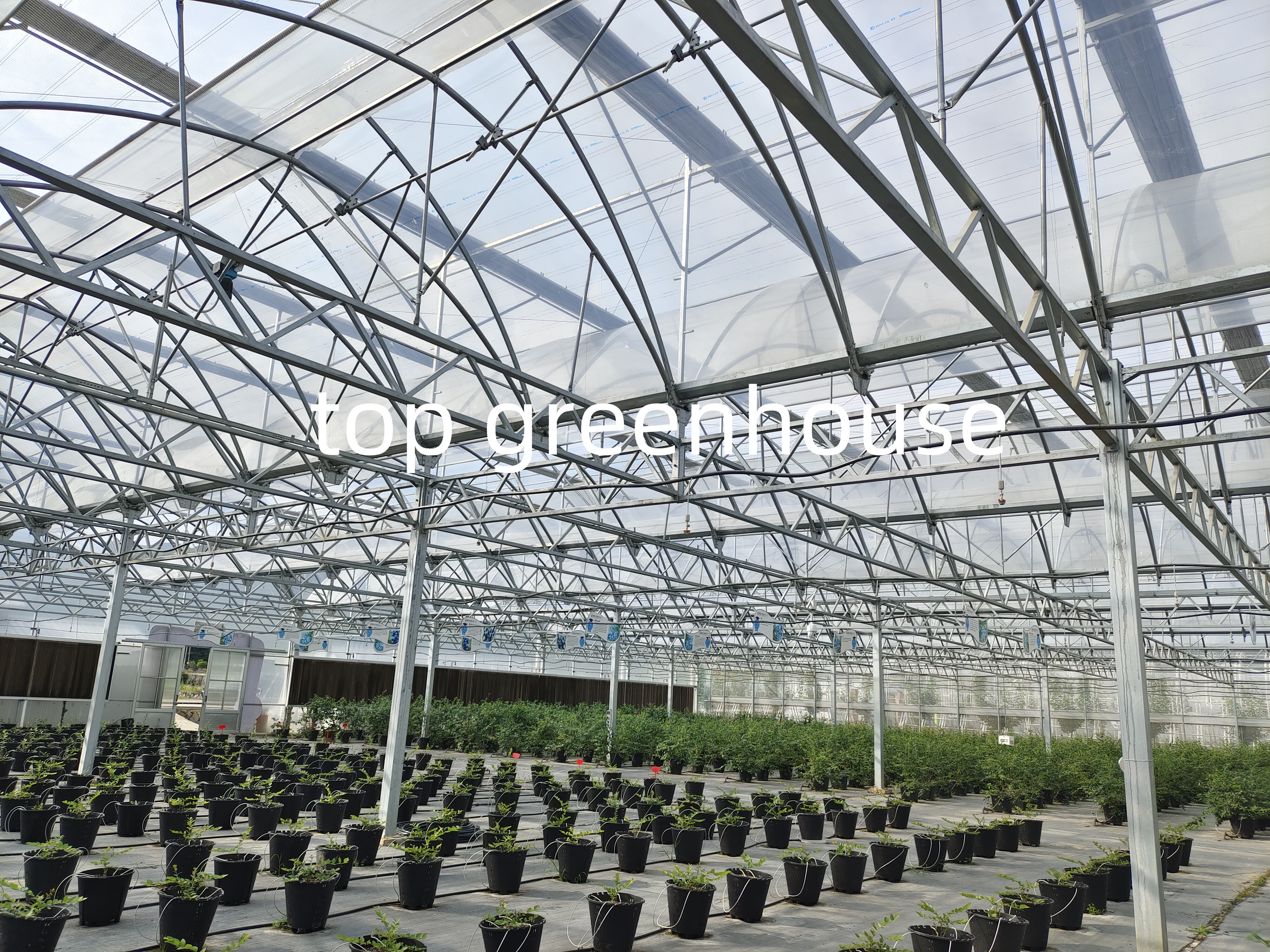 plastic greenhouse-2