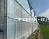Greenhouse Insect Net