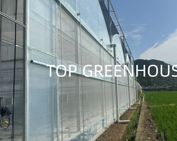 Greenhouse Insect Net