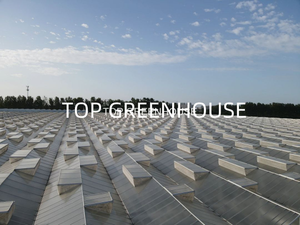 Greenhouse Fold Window Insect Net