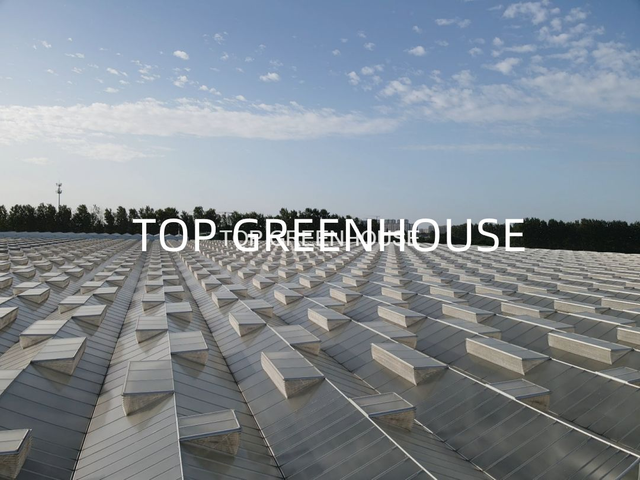 Greenhouse Fold Window Insect Net