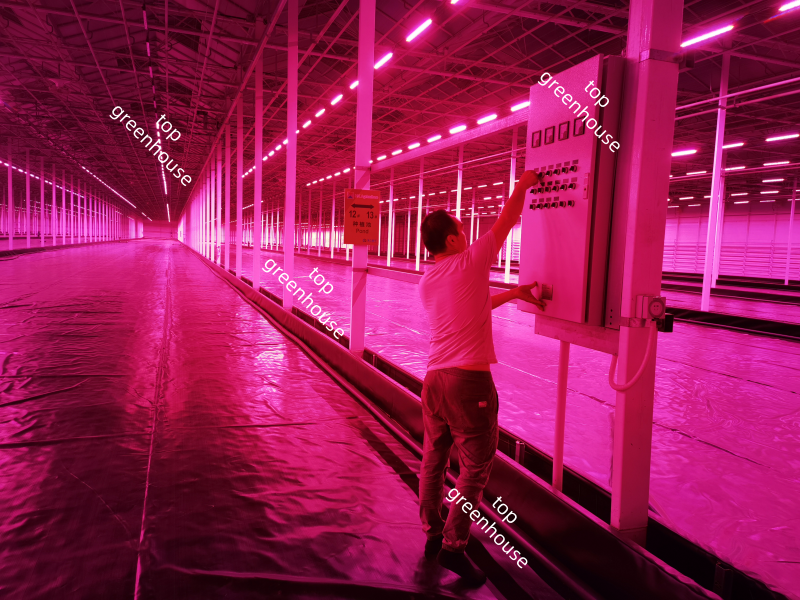Greenhouse Panel for The Electric System