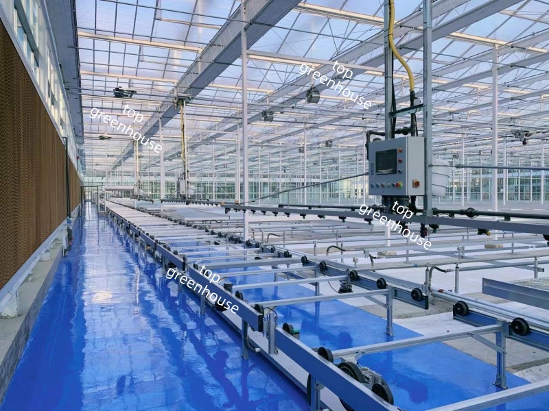 greenhouse panel
