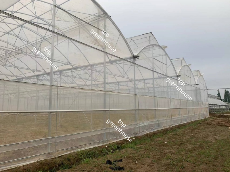 greenhouse plastic