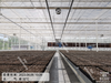 Greenhouse Intelligent Mobile Sprinkler For Irrigation 