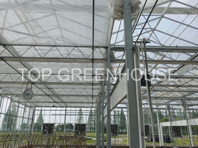 High Breathability White Shade Netting For Glass Greenhouse