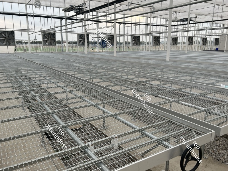 Greenhouse Push Pull Exhaust Fan for Energy Saving