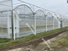 Greenhouse Electric Film Reeler