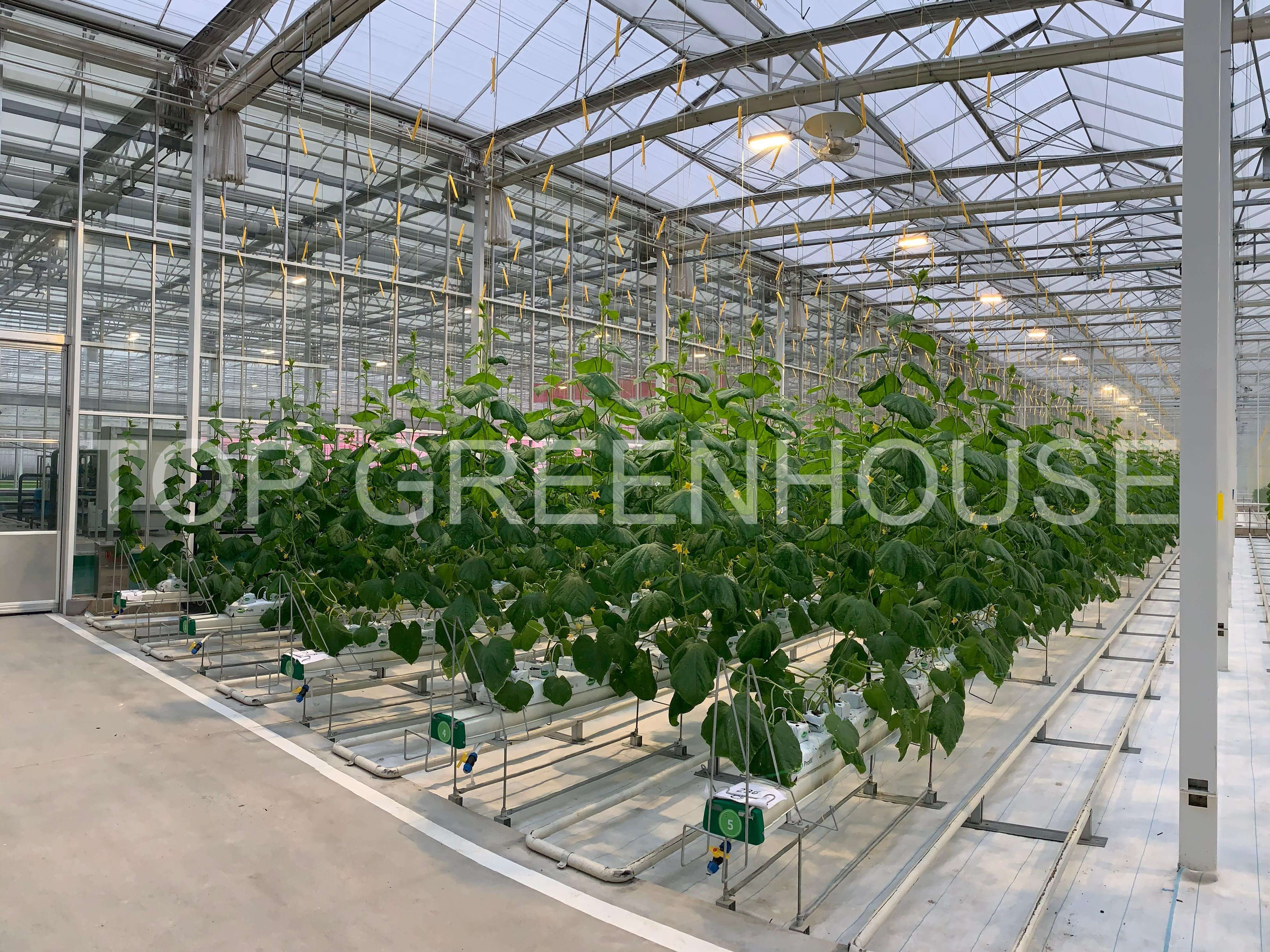 Hanging planting system