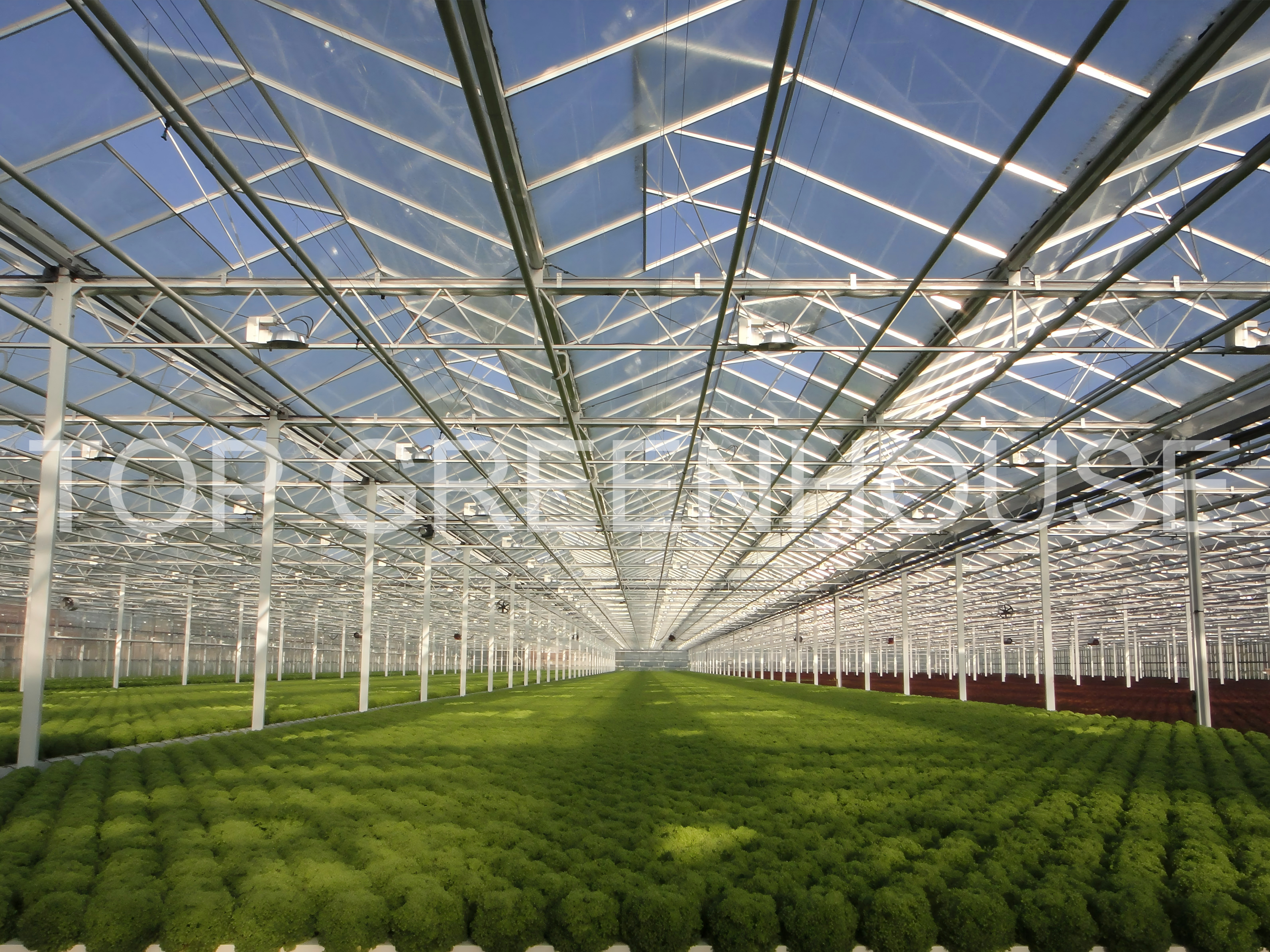 smart greenhouse 4