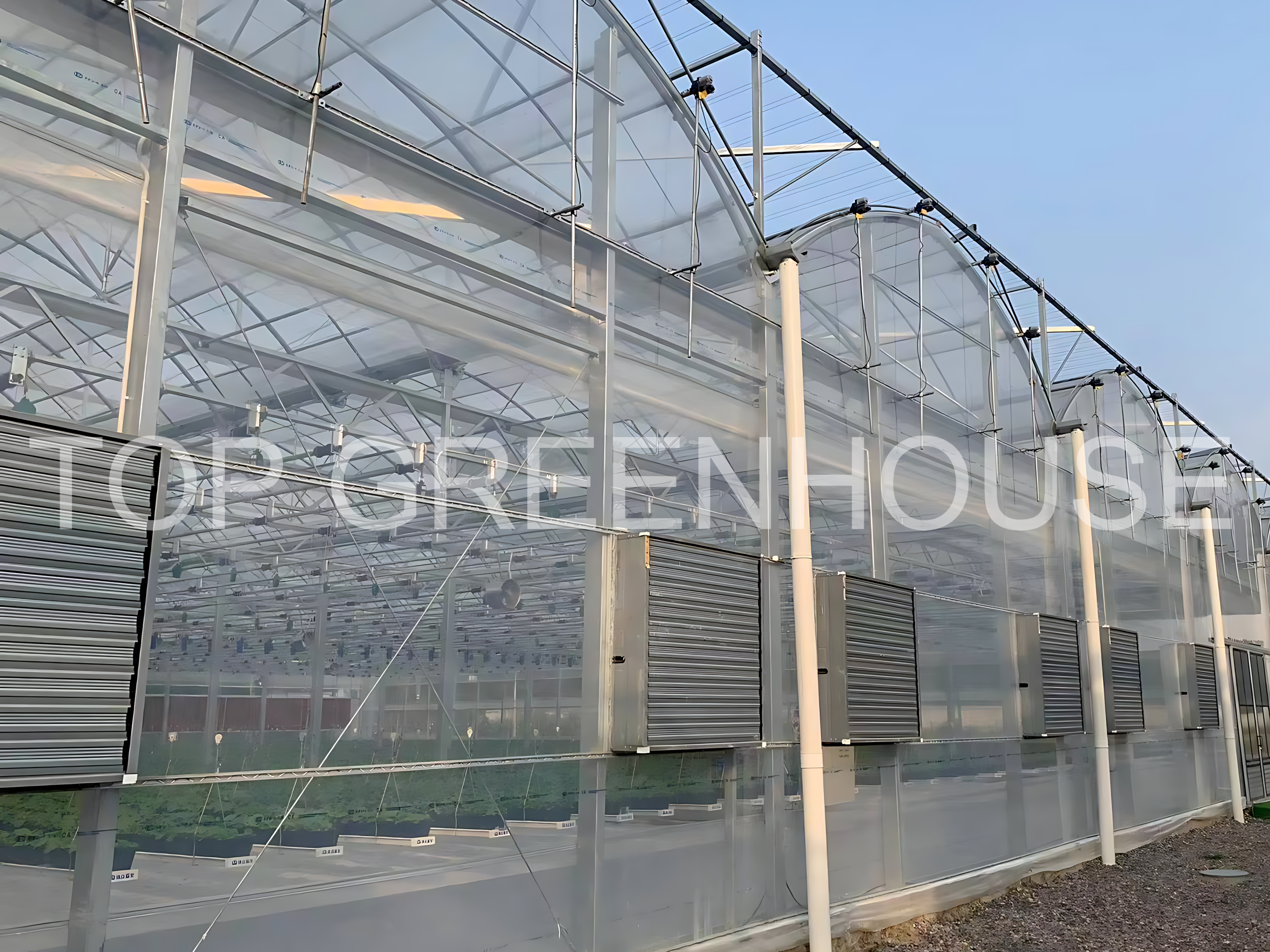 greenhouse