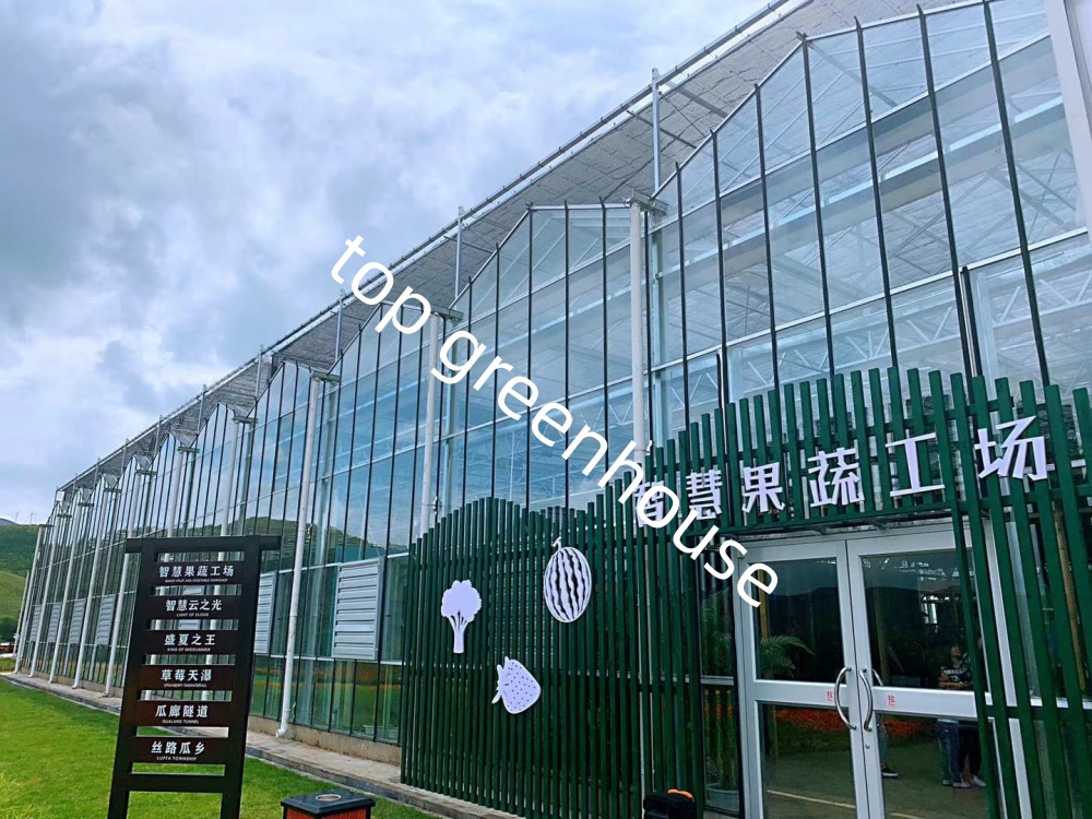 agricultural tomato greenhouse