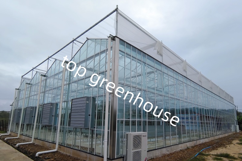 glass greenhouse