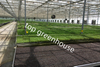 farming glass greenhouse