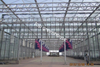 farming glass greenhouse
