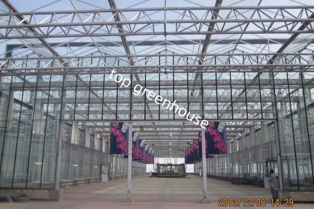 farming glass greenhouse