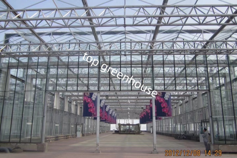 farming glass greenhouse