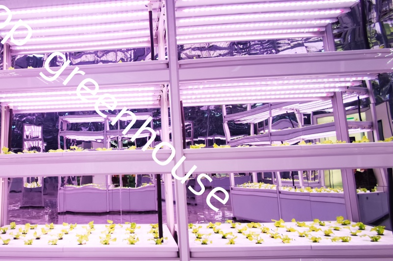 automated greenhouse