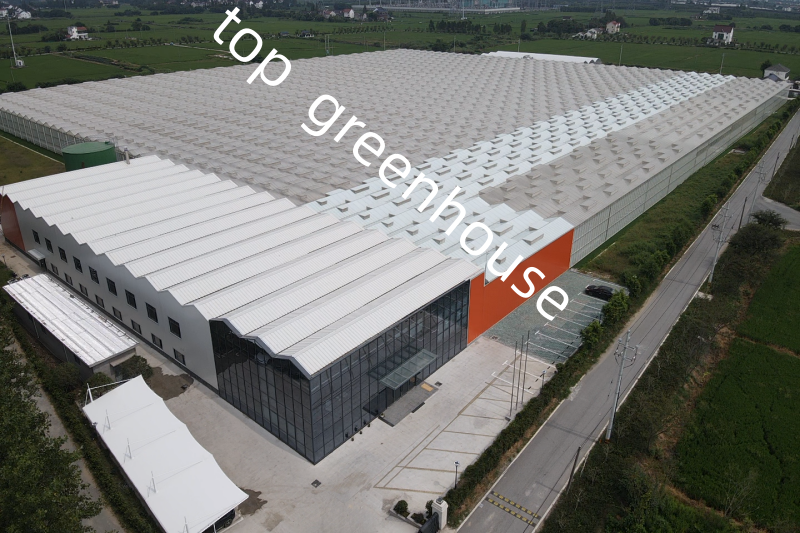 automated greenhouse