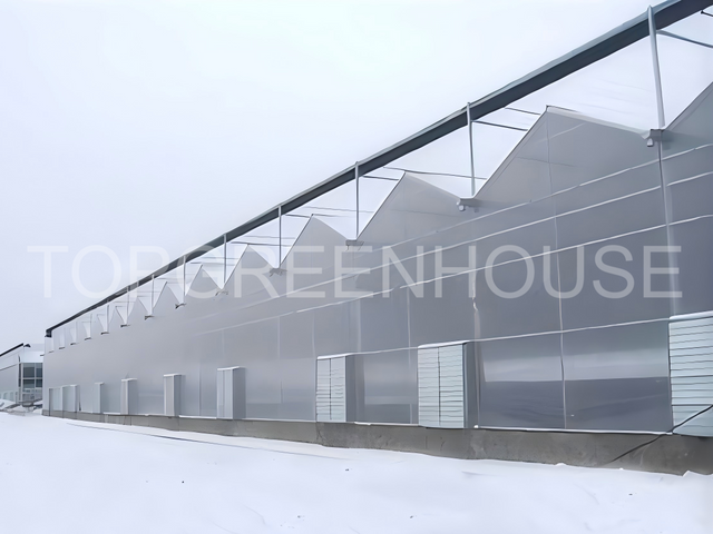 Commercial Polycarbonate Greenhouse