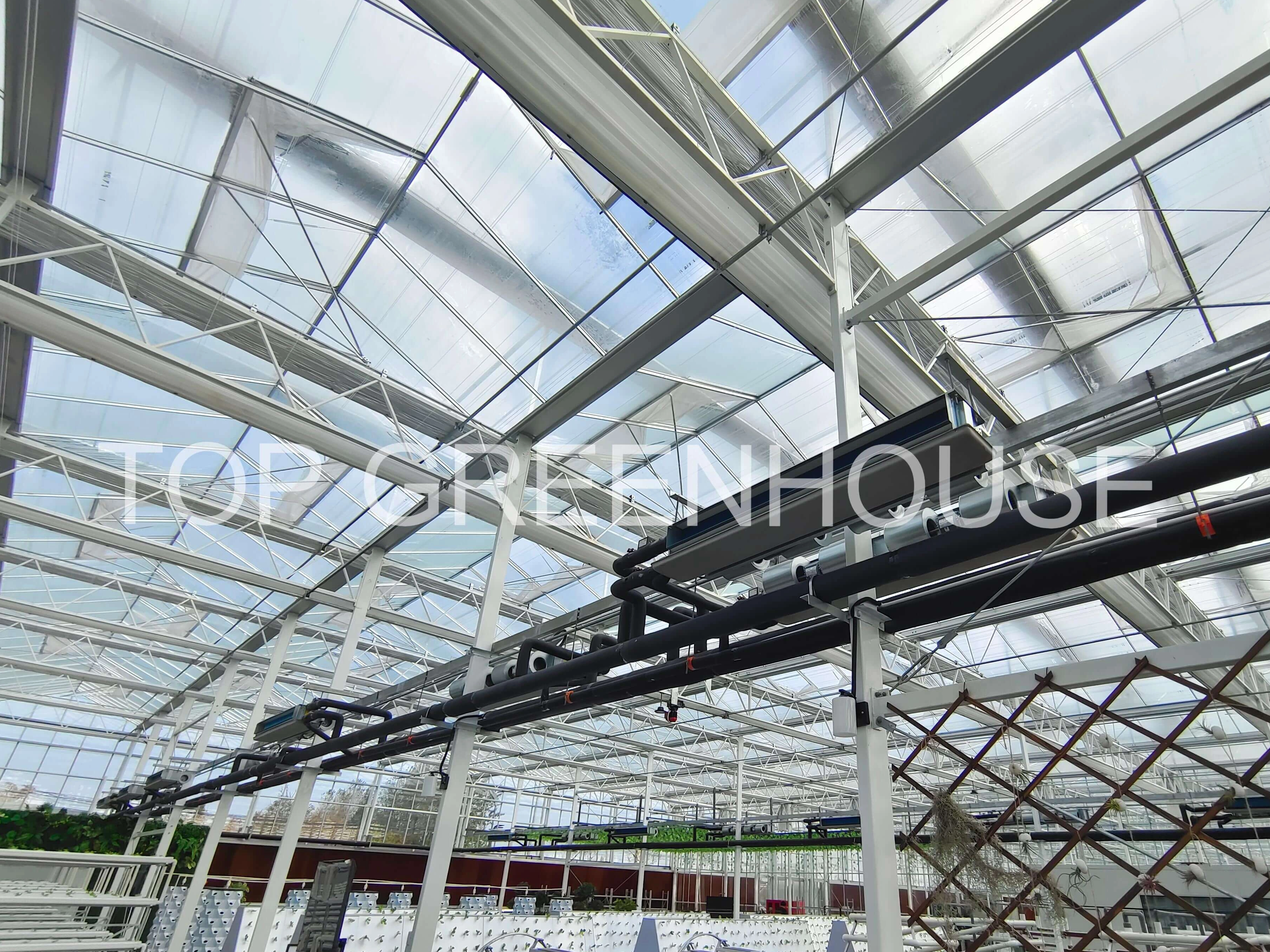 Choosing The Right Climate Screen for Commercial Greenhouses