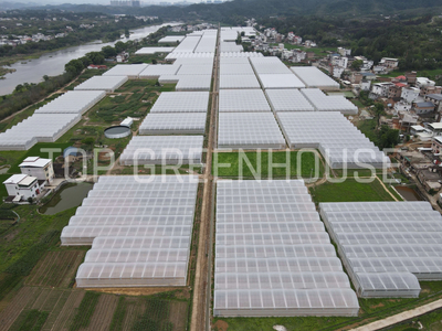 plastic film greenhouse 4_3872_2904.jpg
