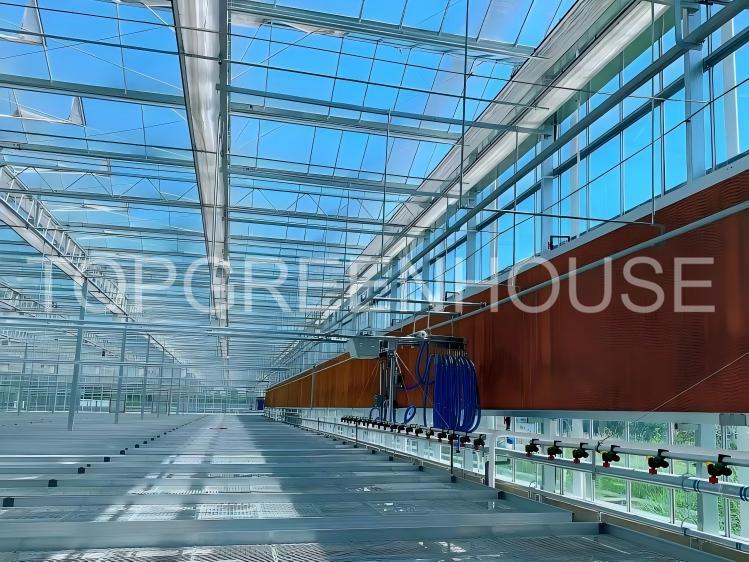 Commercial Venlo Glass Greenhouse for Modern Horticulture