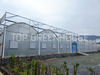 Multispan Plastic Film Greenhouse