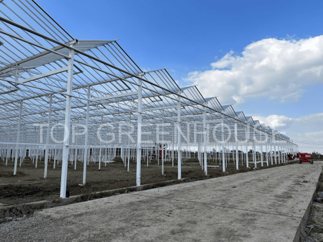 commercial glass greenhouse