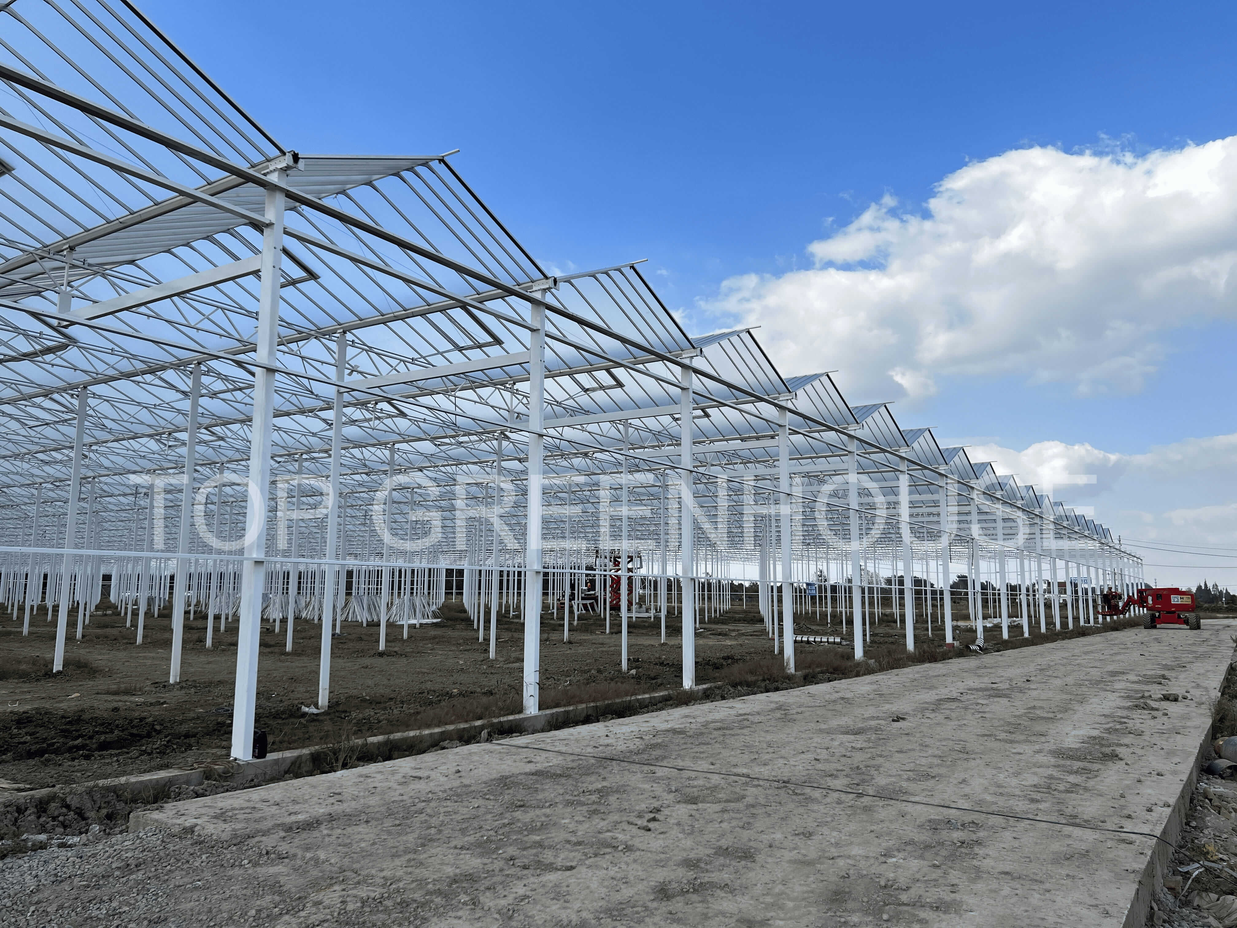 Venlo Glass Greenhouse